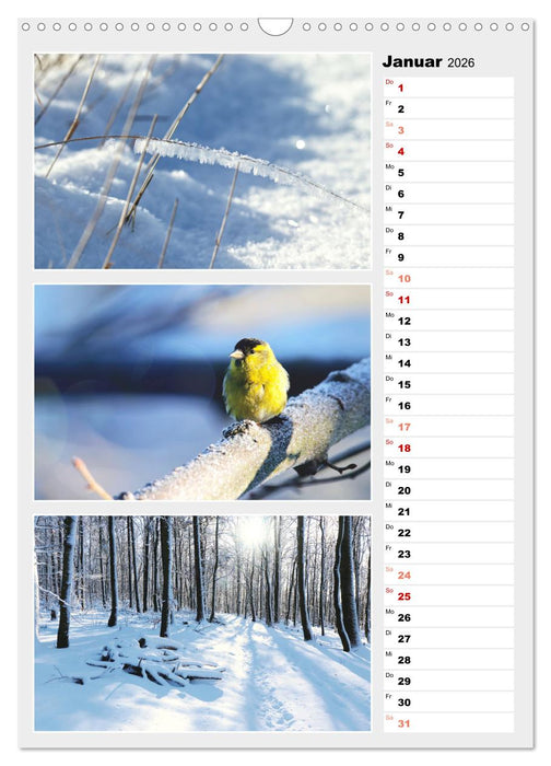 Zauberhafte Farben der Natur (CALVENDO Wandkalender 2026)