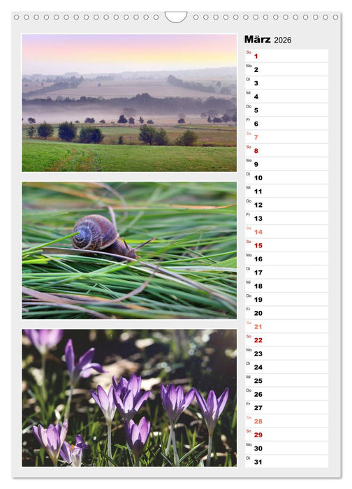 Zauberhafte Farben der Natur (CALVENDO Wandkalender 2026)