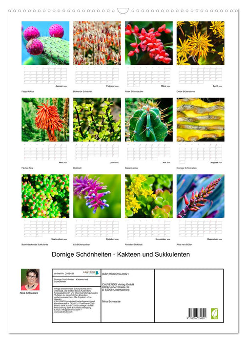 Dornige Schönheiten - Kakteen und Sukkulenten (CALVENDO Wandkalender 2026)