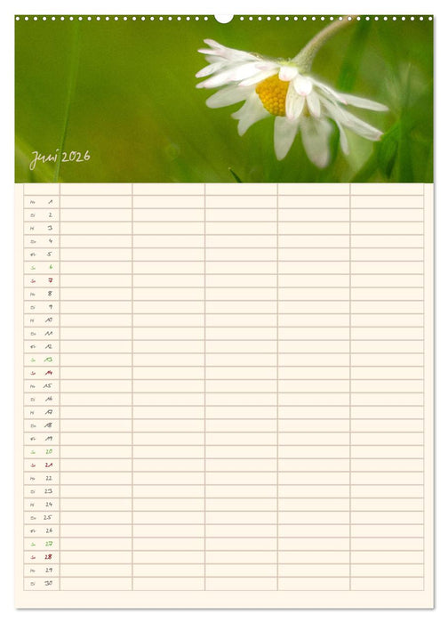 Mit Blick in den Garten (CALVENDO Premium Wandkalender 2026)