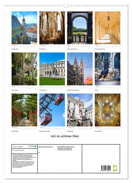 Ach du schönes Wien (CALVENDO Wandkalender 2026)