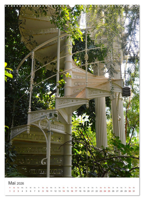 Ach du schönes Wien (CALVENDO Wandkalender 2026)