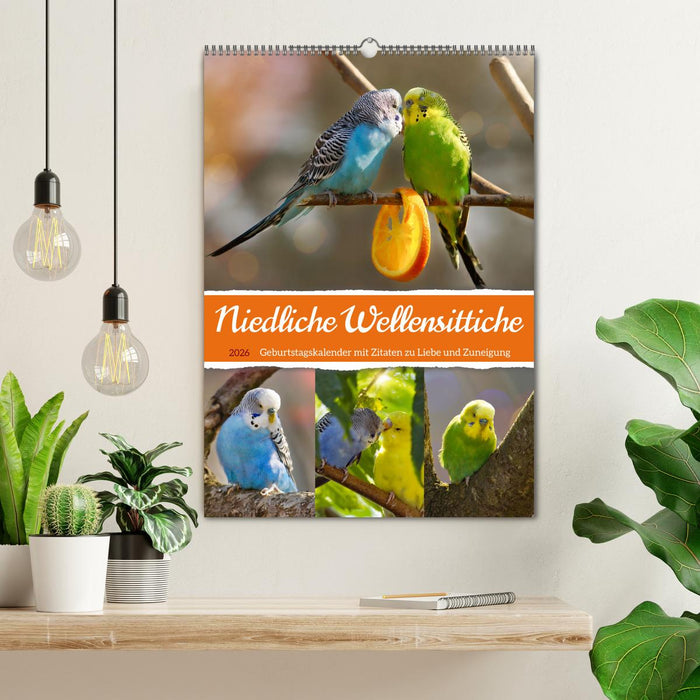 Niedliche Wellensittiche (CALVENDO Wandkalender 2026)