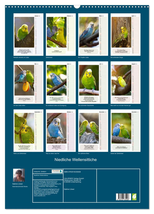 Niedliche Wellensittiche (CALVENDO Wandkalender 2026)