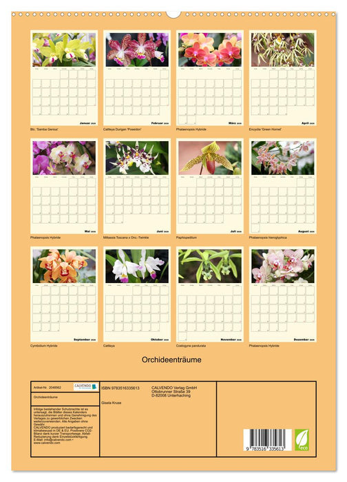 Orchideenträume (CALVENDO Premium Wandkalender 2026)