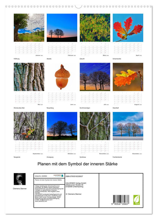Planen mit dem Symbol der inneren Stärke (CALVENDO Premium Wandkalender 2026)