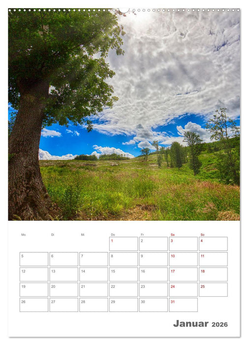 Planen mit dem Symbol der inneren Stärke (CALVENDO Premium Wandkalender 2026)