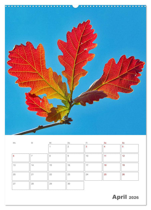 Planen mit dem Symbol der inneren Stärke (CALVENDO Premium Wandkalender 2026)