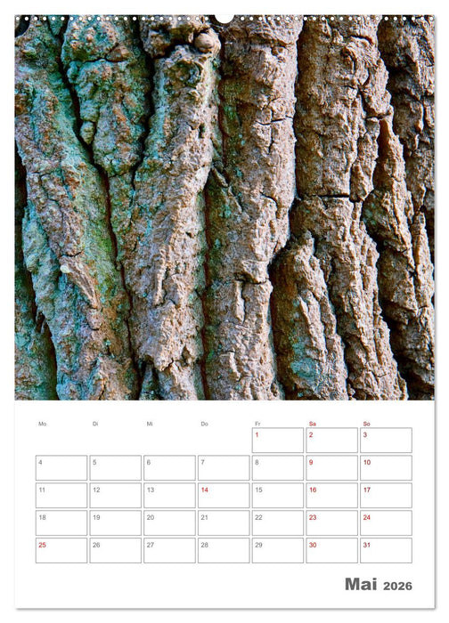 Planen mit dem Symbol der inneren Stärke (CALVENDO Premium Wandkalender 2026)