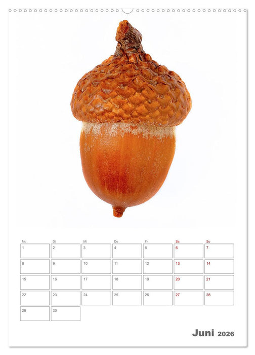 Planen mit dem Symbol der inneren Stärke (CALVENDO Premium Wandkalender 2026)