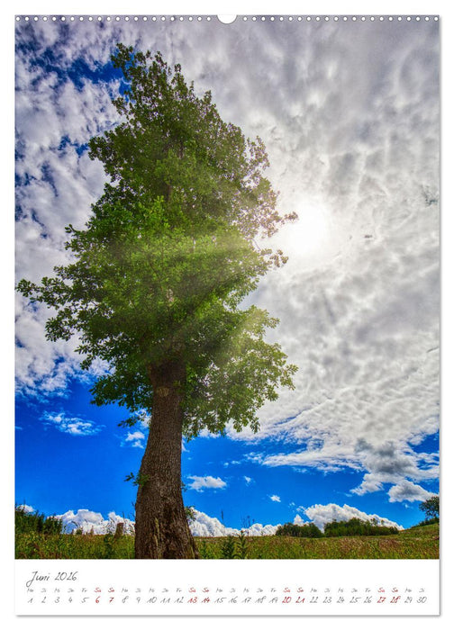 Das Symbol der Ewigkeit (CALVENDO Premium Wandkalender 2026)