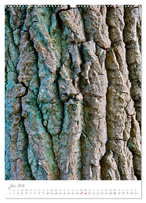 Das Symbol der Ewigkeit (CALVENDO Premium Wandkalender 2026)