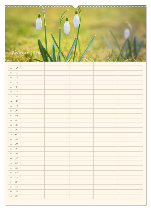 Mit Blick in den Garten (CALVENDO Wandkalender 2026)