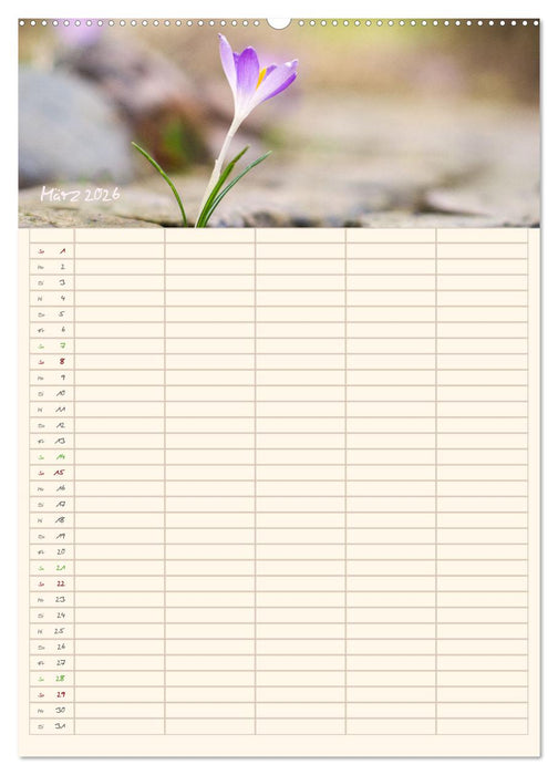 Mit Blick in den Garten (CALVENDO Wandkalender 2026)