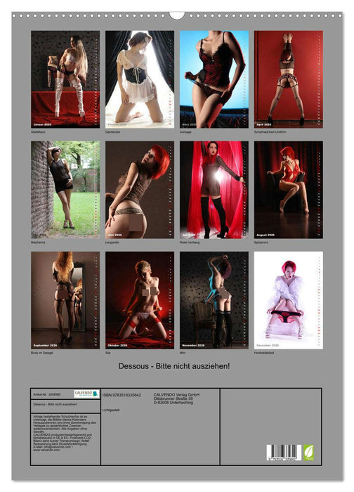 Dessous - Bitte nicht ausziehen! (CALVENDO Wandkalender 2026)