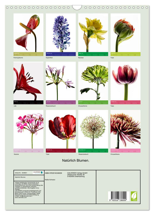 Natürlich Blumen. (CALVENDO Wandkalender 2026)