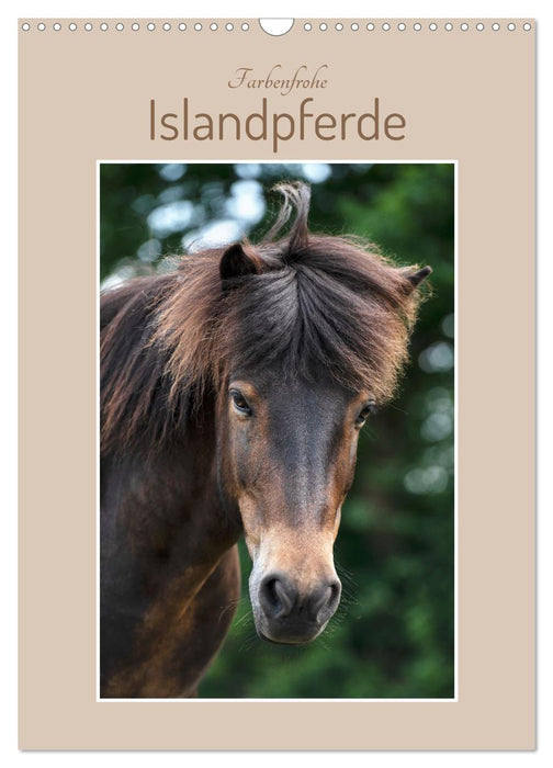 Farbenfrohe Islandpferde (CALVENDO Wandkalender 2026)