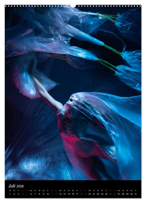 Plastik im Ozean (CALVENDO Premium Wandkalender 2026)