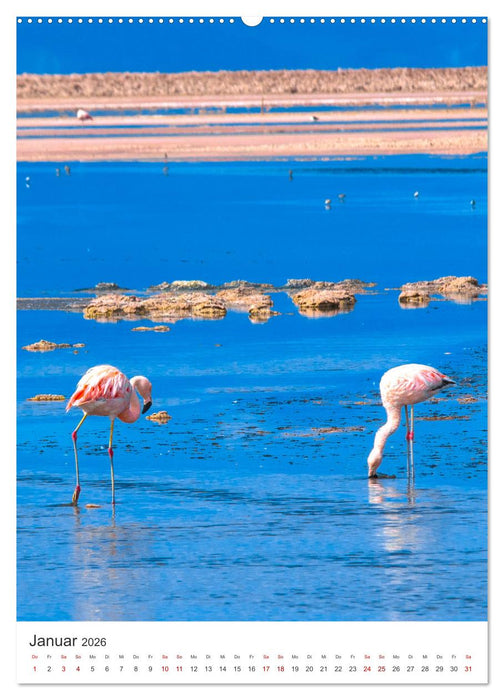 Chile - Ein Land mit unglaublicher Vielfalt. (CALVENDO Wandkalender 2026)