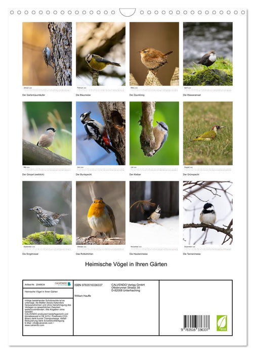 Heimische Vögel in Ihren Gärten (CALVENDO Wandkalender 2026)