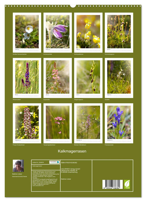 Kalkmagerrasen (CALVENDO Premium Wandkalender 2026)