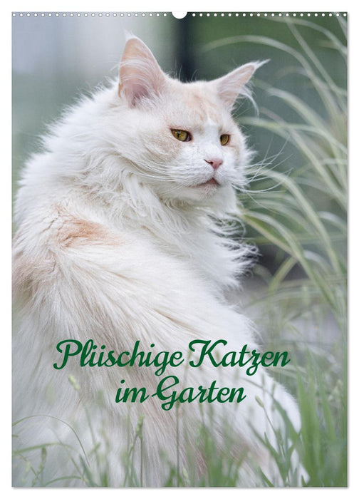 Plüschige Katzen im Garten (CALVENDO Wandkalender 2026)