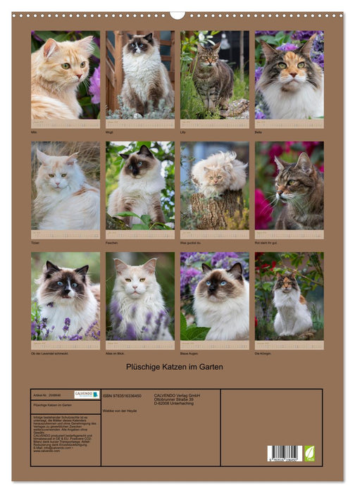 Plüschige Katzen im Garten (CALVENDO Wandkalender 2026)