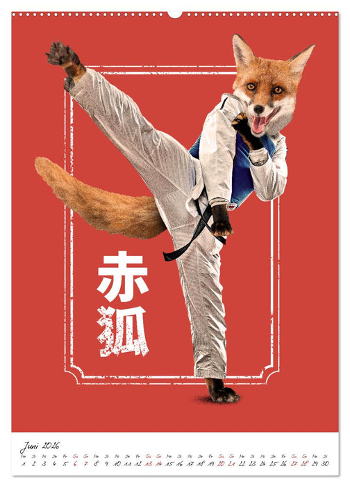 Verrückte Tier Kämpfer (CALVENDO Wandkalender 2026)