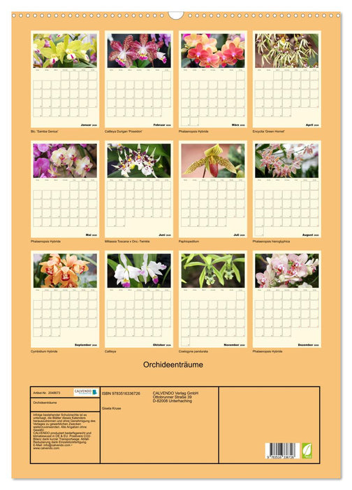 Orchideenträume (CALVENDO Wandkalender 2026)