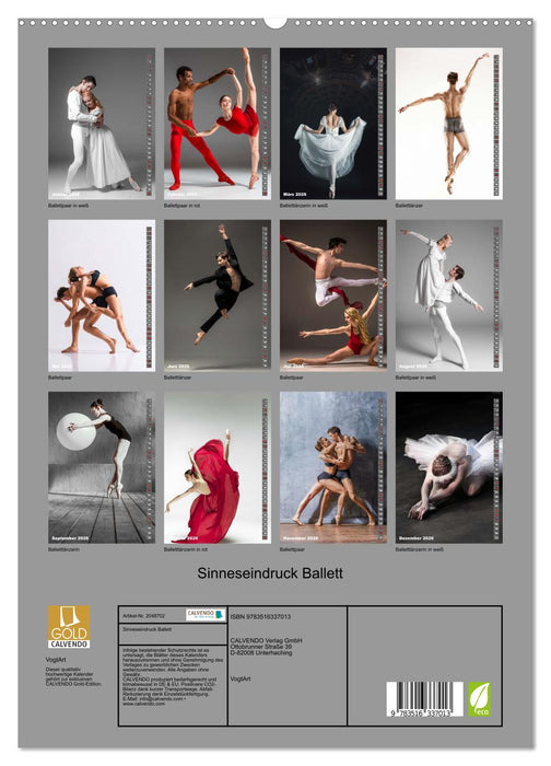 Sinneseindruck Ballett (CALVENDO Premium Wandkalender 2026)
