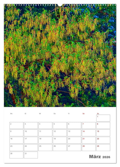 Planen mit dem Symbol der inneren Stärke (CALVENDO Wandkalender 2026)