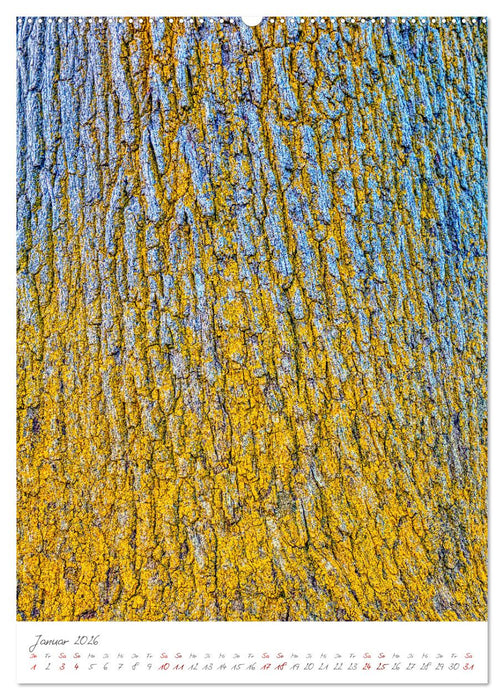 Das Symbol der Ewigkeit (CALVENDO Wandkalender 2026)