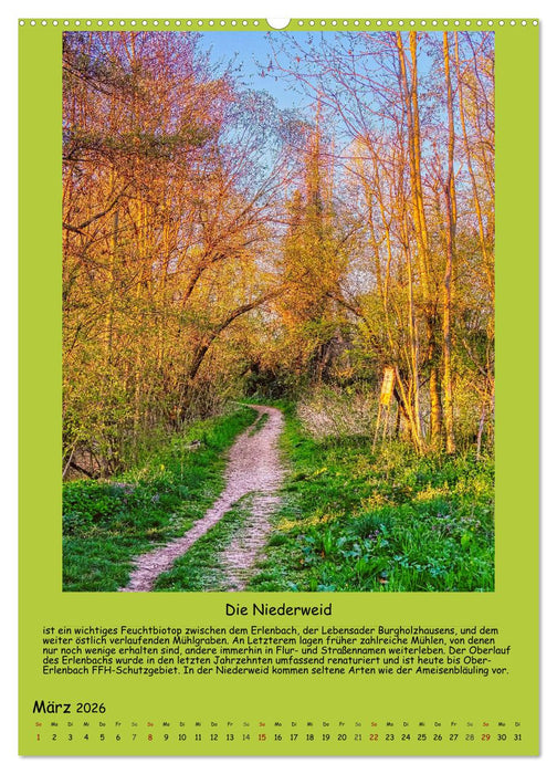 Gut 800 Jahre Burgholzhausen. Ein Ortsporträt in Wort und Bild 2026 (CALVENDO Premium Wandkalender 2026)