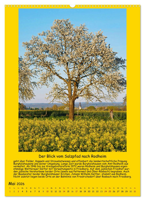 Gut 800 Jahre Burgholzhausen. Ein Ortsporträt in Wort und Bild 2026 (CALVENDO Premium Wandkalender 2026)