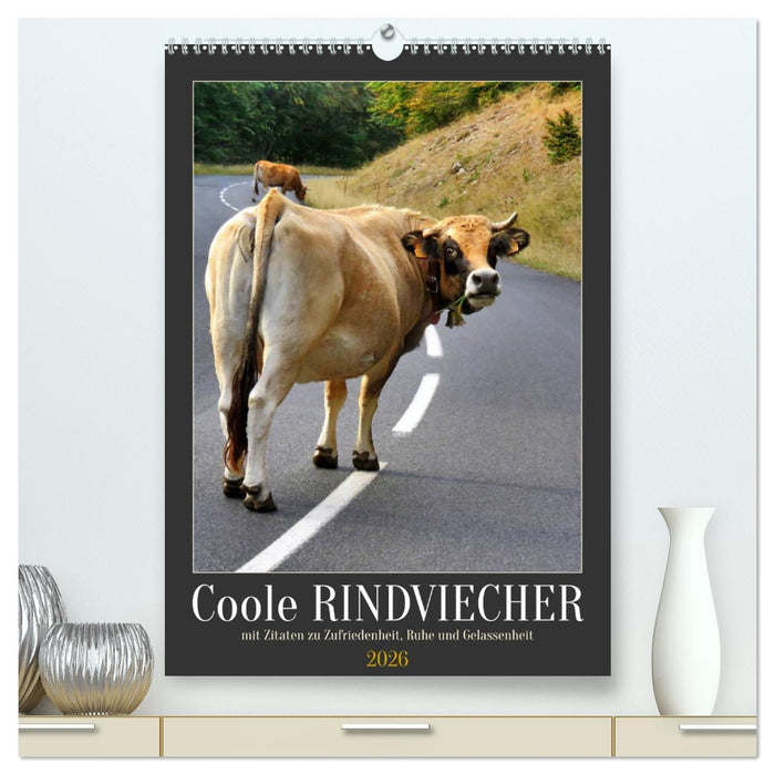 Coole Rindviecher (CALVENDO Premium Wandkalender 2026)