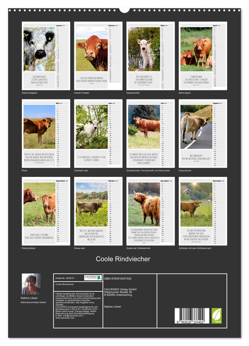 Coole Rindviecher (CALVENDO Premium Wandkalender 2026)