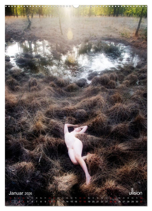 Akt im Wasser - sinnliche Nymphen (CALVENDO Premium Wandkalender 2026)