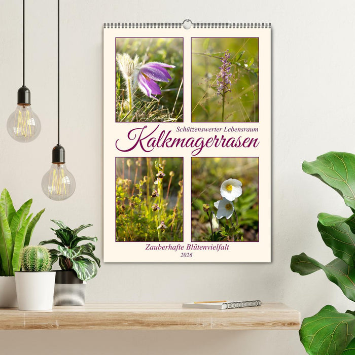 Kalkmagerrasen (CALVENDO Wandkalender 2026)