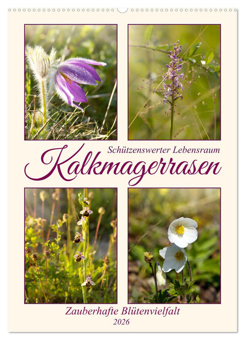 Kalkmagerrasen (CALVENDO Wandkalender 2026)
