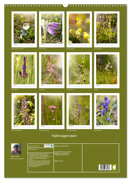 Kalkmagerrasen (CALVENDO Wandkalender 2026)