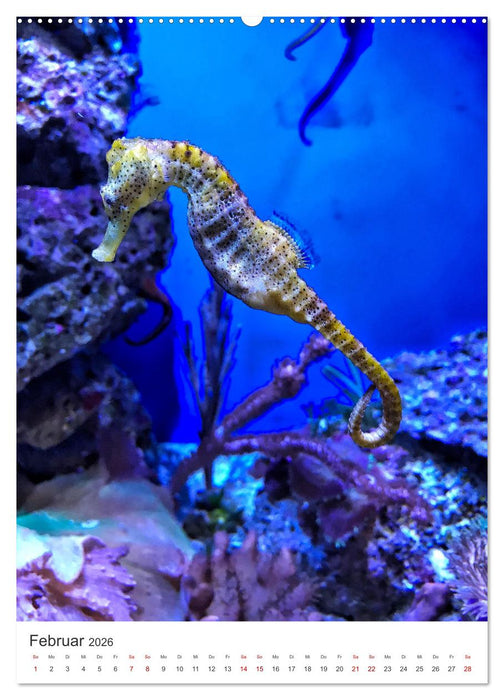 Seepferdchen - Die faszinierende Meerestiere. (CALVENDO Wandkalender 2026)