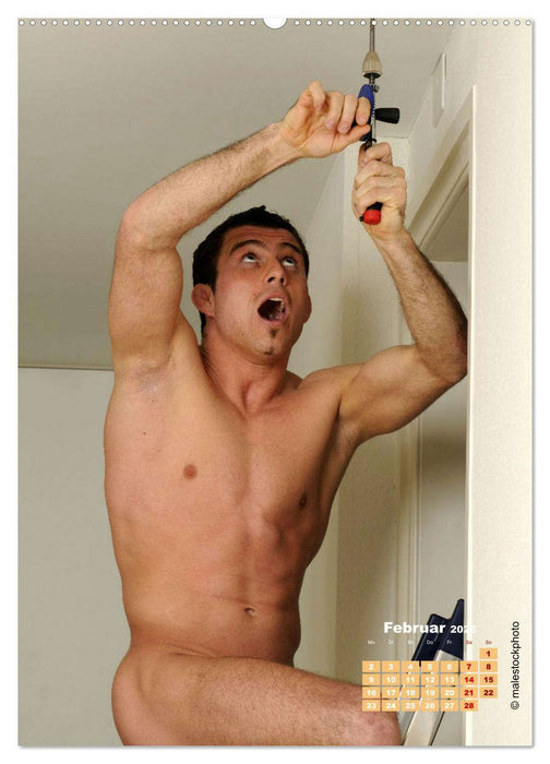 Der perfekte Hausmann - Tipps & Tricks (CALVENDO Premium Wandkalender 2026)