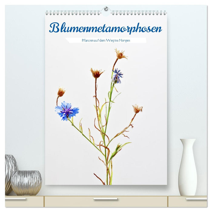 Blumenmetamorphosen (CALVENDO Premium Wandkalender 2026)