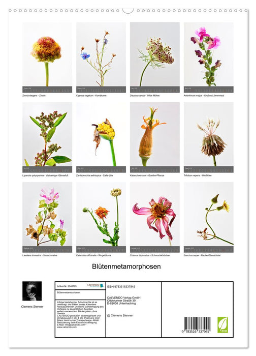 Blütenmetamorphosen (CALVENDO Premium Wandkalender 2026)