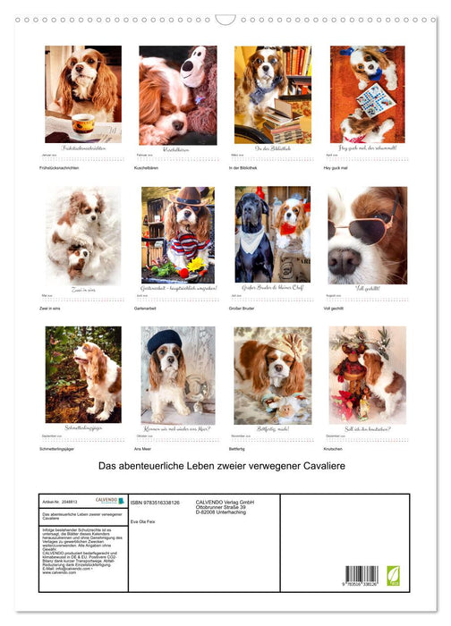 Das abenteuerliche Leben zweier verwegener Cavaliere (CALVENDO Wandkalender 2026)