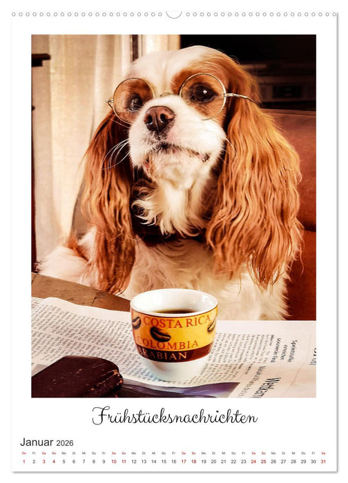 Das abenteuerliche Leben zweier verwegener Cavaliere (CALVENDO Wandkalender 2026)