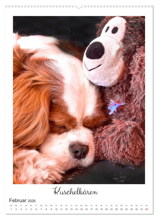 Das abenteuerliche Leben zweier verwegener Cavaliere (CALVENDO Wandkalender 2026)