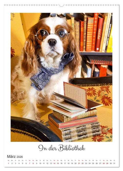 Das abenteuerliche Leben zweier verwegener Cavaliere (CALVENDO Wandkalender 2026)