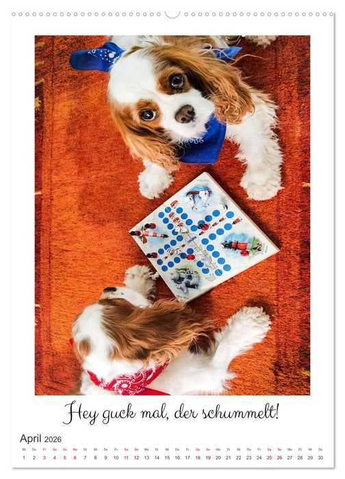 Das abenteuerliche Leben zweier verwegener Cavaliere (CALVENDO Wandkalender 2026)