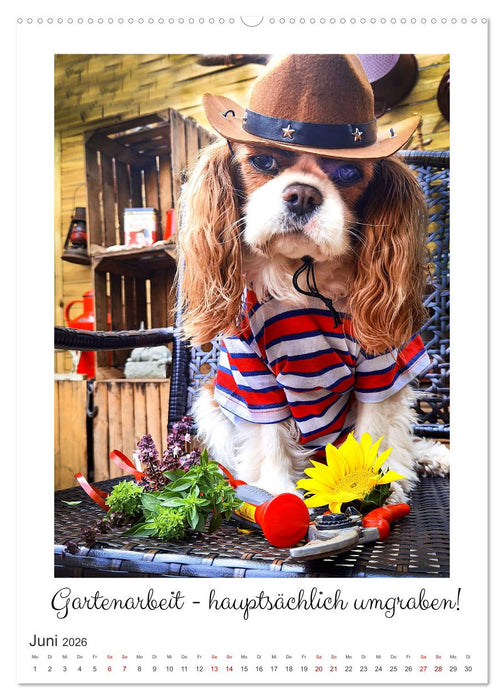 Das abenteuerliche Leben zweier verwegener Cavaliere (CALVENDO Wandkalender 2026)